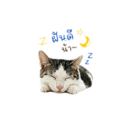 842247476