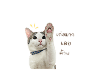842247478