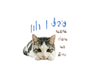 842247479