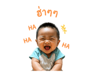 842247668