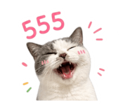 842248515