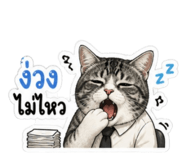 842249339