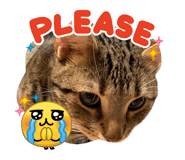 842249715