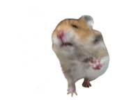 842249741