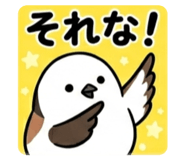 842249782