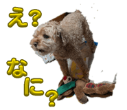 842249971