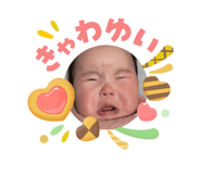 842249978