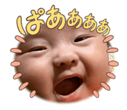 842250104