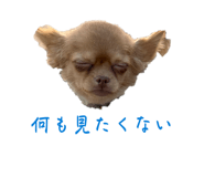 842250139