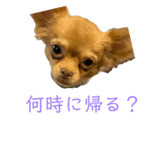 842250144