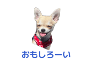 842250146