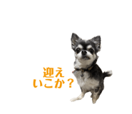 842250147