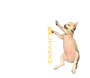 842250150