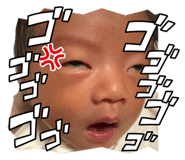 842250229