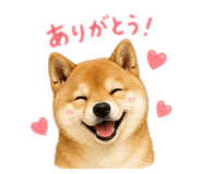 842250361