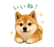 842250362