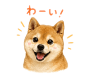842250364