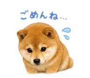 842250365