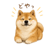 842250366
