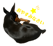 842250375