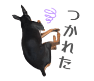 842250380