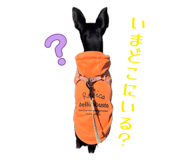842250386