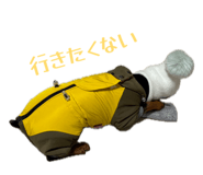 842250392