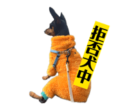842250393