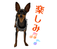 842250404