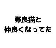842250544