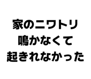 842250570