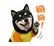 842261174