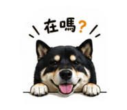 842261175