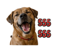 842261353