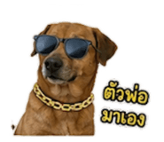 842261360
