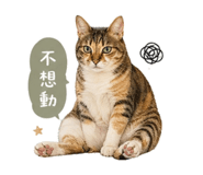 842262468