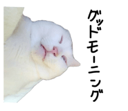 842263273