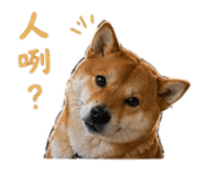 842263292