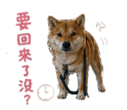 842263293