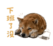 842263298