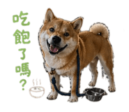 842263301