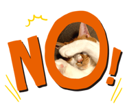 842263373