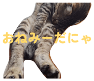 842263538