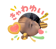 842263633