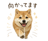 842263705