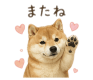 842263709
