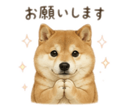 842263710
