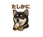 842264284