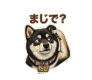 842264289