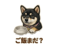 842264293